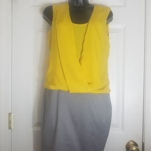 Saks Fifth Avenue Black Label Dress